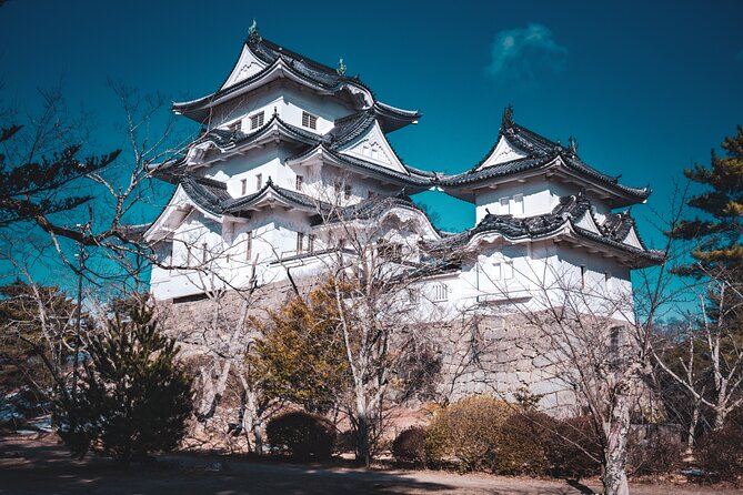 Secrets of Ninjas X Samurais: Private History Tour to Iga & Koka - Where Iga and Koka Fit in Japan’s Shadow-Warrior Story