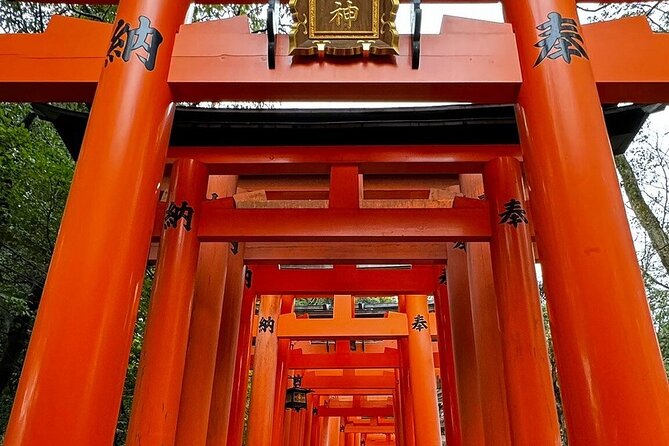 Single- & multi-day Adventures within Kyoto Nara Osaka Kobe - Key highlights you’ll actually feel