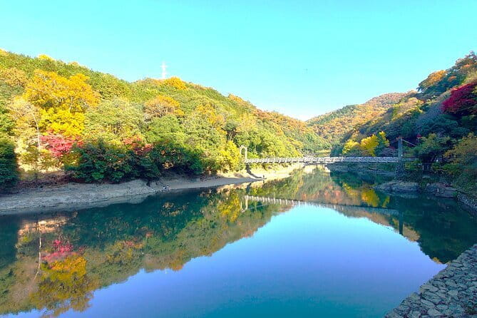 Slow Cycling Tour at Uji's Matcha Green Tea Fields and Heritage - The 4.5-Hour Plan: What the Route Actually Delivers