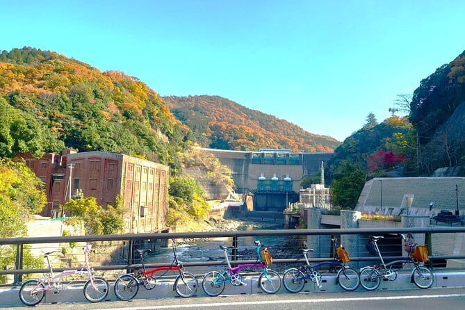 Slow Cycling Tour at Uji's Matcha Green Tea Fields and Heritage - Stop 1: Tea Culture at Chazuna (Optional Ticket)
