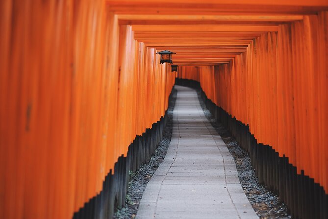 Tailored Full Day Private Experience of Kyoto for 1 Day Visitors - Nijo Castle: Edo-Period Architecture With a Real Sense of Time