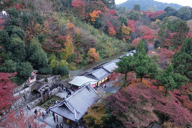 TREASURES of Kyoto: Fushimi Inari, Kiyomizu Temple, and more! - Price and value: what $98.53 is really buying