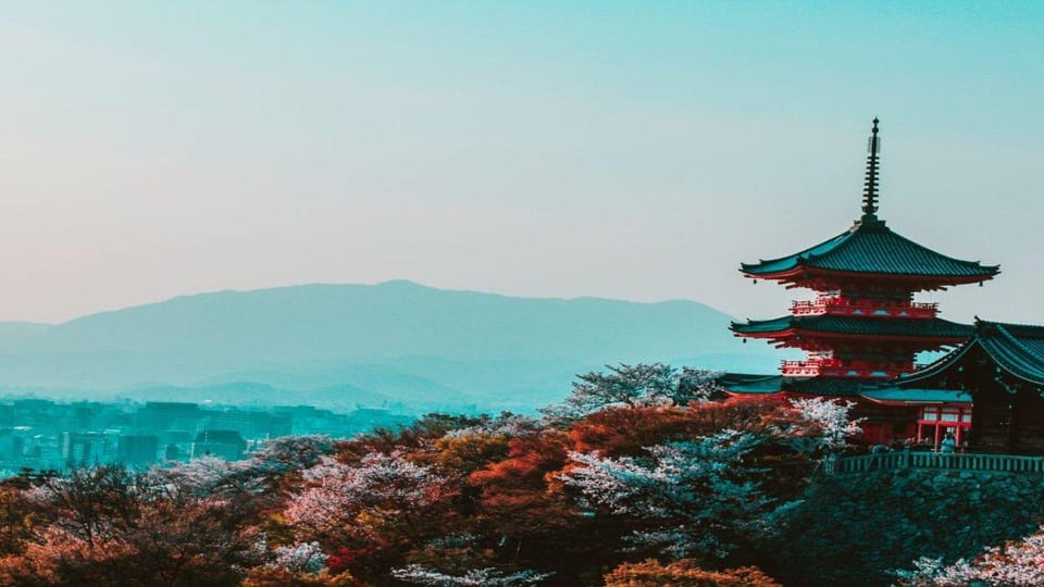 Treasures of Kyoto: Gion & historical Walking Tour - From Pontocho Park to Nene-no-michi: Getting Oriented Fast