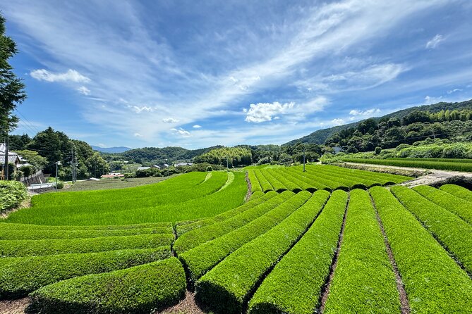 Uji and Wazuka Matcha Farm Half Day Private Guided Tour - Price and logistics: is $360 per person worth it?