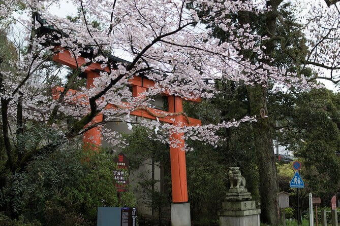 Uji Tea Ceremony and UNESCO Heritage Walking Tour - Uji Shrine and Ujigami Shrine: quiet stops with meaning